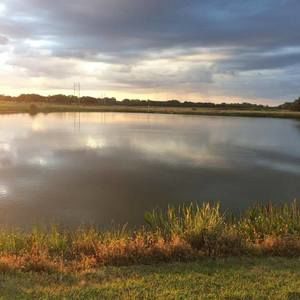 Meet your Posher, Martin